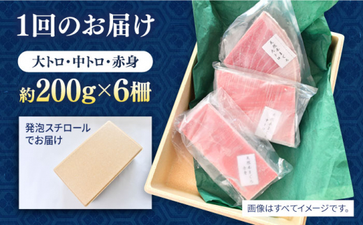 【全3回定期便】天然 まぐろ 大トロ・中トロ・赤身（約200ｇ×6柵）約1200ｇ 鮪 マグロ 魚 刺身 横須賀【本まぐろ直売所】 [AKAK083]