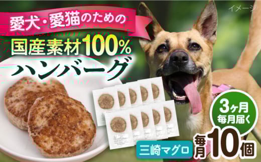 【全3回定期便】ペットフード 三崎マグロ 100%ハンバーグ 10個セット ペット 犬 猫 手作り 国産 てづくり こだわり まぐろ ドッグフード  横須賀 【ペットフードYM japan】 [AKEX003]