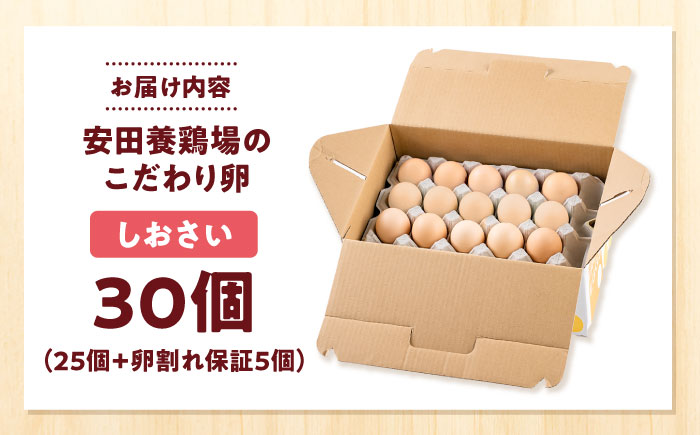 安田養鶏場の卵 しおさい 30個入り 神奈川県産 横須賀市 割れ保証付き たまご 卵 玉子 タマゴ 鶏卵 オムレツ 卵かけご飯 朝食 料理 人気 卵焼き【安田養鶏場】 [AKHN001]