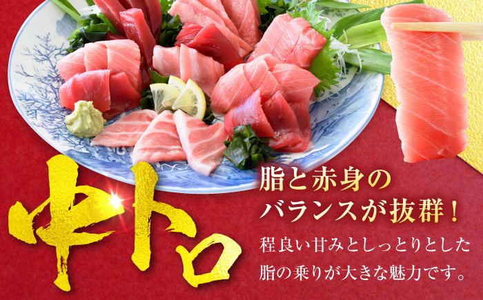 天然 まぐろ 中トロ メバチ（約200～250g（1柵入り））【横須賀商工会議所 おもてなしギフト事務局（本まぐろ直売所 横須賀本店）】 [AKAK119]