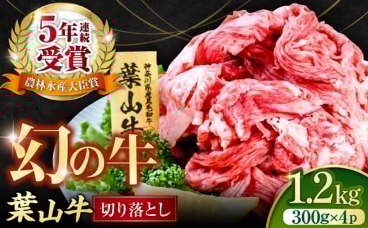 葉山牛 切り落とし300g×4パック 計1.2kg 小分け 牛肉 切り落とし 横須賀 冷凍 【株式会社羽根】 [AKAG003]
