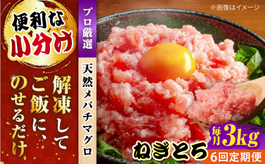 【全6回定期便】まぐろ ねぎとろ 約3kg（約250g×12パック） 鮪 マグロ 魚 ネギトロ 横須賀【本まぐろ直売所】 [AKAK042]