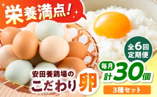 【全6回定期便】安田養鶏場の卵 3種セット しおさい アトムくん タフラン 30個入り（各10個入り） 横須賀市 産地直送 割れ保証付き たまご 黄身 濃厚 卵 玉子 タマゴ 鶏卵  【安田養鶏場】 [AKHN012]