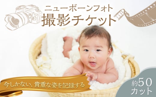 ベビーフォト 撮影チケット チケット 撮影 思い出 家族 ベビー ベビーフォト 赤ちゃん 記念写真 記念撮影【フォトスタジオ和田写場】 [AKAW005]