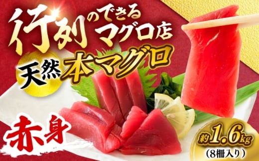 天然 本まぐろ 赤身 計約1.6kg （8柵入り）【本まぐろ直売所】 [AKAK099]