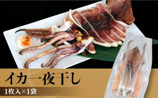 ひものセット（アジ、カマス、キンメ鯛、イワシ丸干し、イカ一夜干し、ワカシ西京漬、ワカシ粕漬）干物 詰め合わせ 魚 鯵 金目鯛 鰯 いか 西京漬け 横須賀【株式会社ユニマットプレシャス】 [AKBZ005]