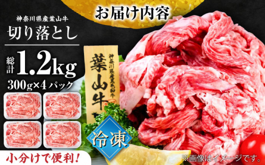 葉山牛 切り落とし300g×4パック 計1.2kg 小分け 牛肉 切り落とし 横須賀 冷凍 【株式会社羽根】 [AKAG003]