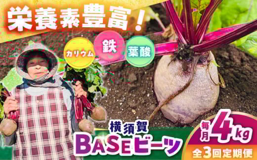 【全3回定期便】横須賀BASEビーツ 4kg（1kg×4袋）【ゆり子ファーム】 [AKCR004]