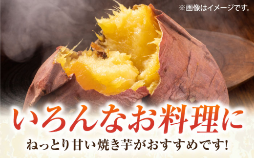 【先行予約】さつまいも 紅はるか 約5kg 野菜  やさい 【鈴也ファーム】 [AKCE025]