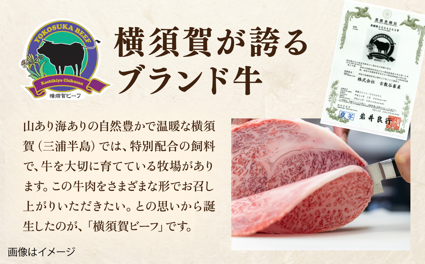 【数量限定20セット】横須賀ビーフ サーロイン 約250g×2 【ヨコスカマルシェ・koshikiya（株）】 [AKGO011]