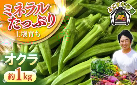 【先行予約】オクラ 約1kg 野菜 やさい 【鈴也ファーム】 [AKCE023]
