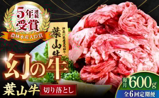 【全6回定期便】葉山牛 切り落とし300g×2パック 国産牛 牛肉 切り落とし 高級和牛 冷凍 黒毛和牛 国産 希少品種 小分け 横須賀 すき焼き すきやき ぎゅうにく きりおとし 大容量 神奈川銘品 計600g【株式会社羽根】 [AKAG028]