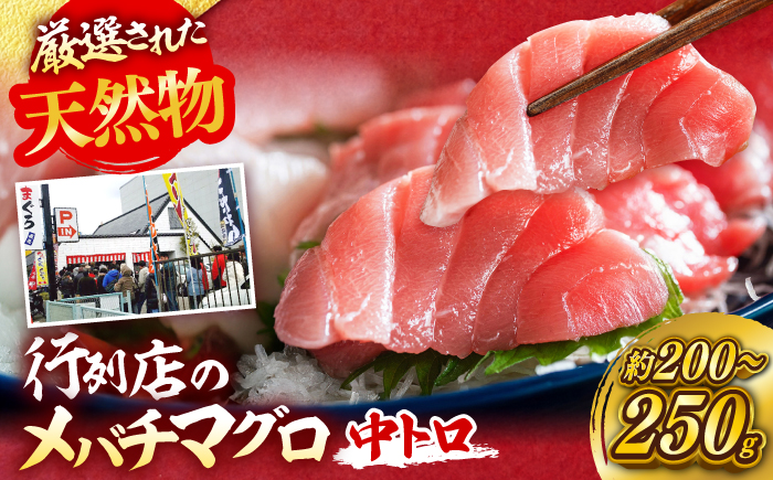 天然 まぐろ 中トロ メバチ（約200～250g（1柵入り））【横須賀商工会議所 おもてなしギフト事務局（本まぐろ直売所 横須賀本店）】 [AKAK119]