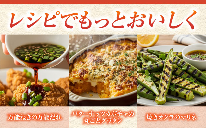 【全3回定期便】すずなり採れたて野菜BOX　(5〜7品） 野菜  やさい 詰め合わせ 詰合せ 【鈴也ファーム】 [AKCE011]