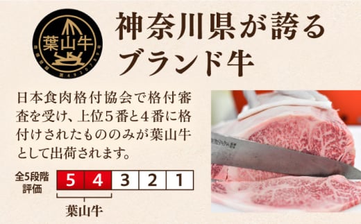 【数量限定20セット】葉山牛 サーロインステーキ 計約700g（約350g×2枚） ステーキ すてーき ステーキ肉 すてーき肉 牛肉 国産 ブランド 絶品 高級 極上 人気 おすすめ オススメ 葉山牛 厚切り 神奈川県 横須賀市 冷凍【ヨコスカマルシェ・koshikiya（株）】 [AKGO003-3]