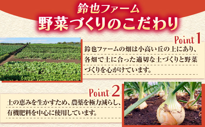 【全12回定期便】すずなり採れたて野菜BOX（5〜7品目）野菜セット 詰め合わせ 季節野菜 やさい 産地直送 旬 新鮮 横須賀【鈴也ファーム】 [AKCE004]