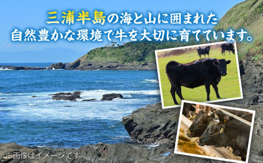 葉山牛 切り落とし300g×4パック 計1.2kg 小分け 牛肉 切り落とし 横須賀 冷凍 【株式会社羽根】 [AKAG003]