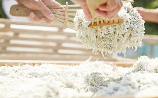 釜揚げしらす 900g（150g×6パック）しらす シラス 釜揚げ かまあげ 魚 さかな 国産 冷凍 小分け 朝ごはん 料理  神奈川県 横須賀市【かねしち丸水産】 [AKFL001]