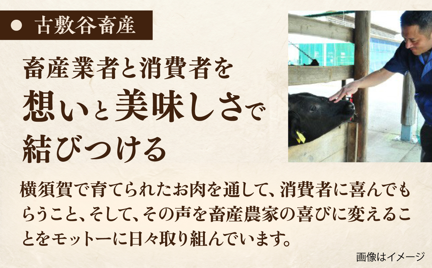 【数量限定20セット】横須賀ビーフ 切り落とし 約500g 【ヨコスカマルシェ・koshikiya（株）】 [AKGO010]