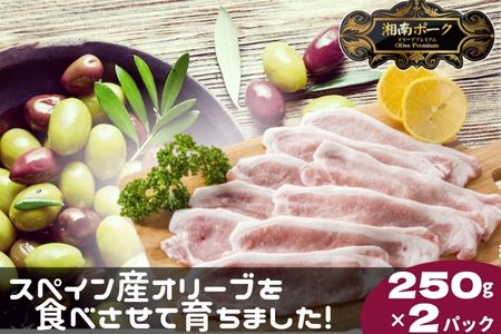  豚肉 藤沢産 湘南ポーク オリーブプレミアム ローススライス2Pと味噌漬け3枚セット