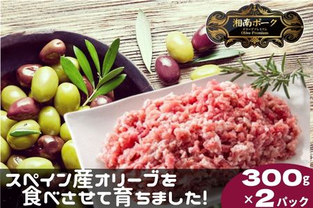  豚肉 藤沢産 湘南ポーク オリーブプレミアム ローススライス2Pと挽肉2Pセット