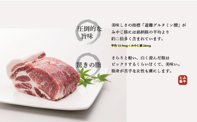 希少ブランド豚『みやじ豚 バラ ブロック 塊肉(800g) 』(冷蔵・生肉)　※お届け日指定不可 