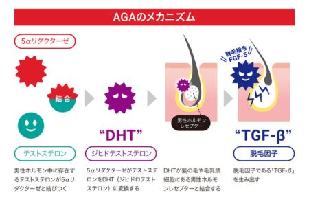 AGAによる薄毛リスクが、髪の毛数本でわかる！【毛髪ホルモン量測定キット（DHT）】