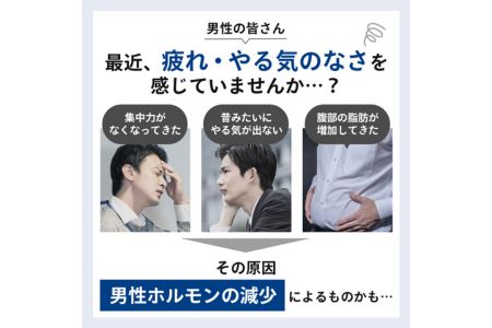 男性更年期のセルフチェックに!筋トレなどの運動の成果確認に!!【毛髪ホルモン量測定キット～テストステロン～】