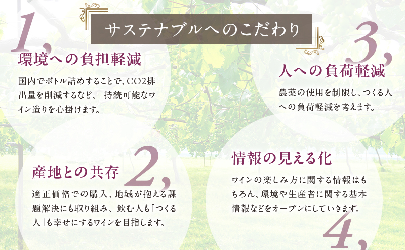 ワイン メルシャン 赤ワイン 4本 セット 藤沢 工場産 メルシャンワイン 飲み比べ 赤ワインセット 赤 フルボディ オーガニック フランジア ビストロ ストロング お酒 酒 アルコール 神奈川 藤沢市 A1