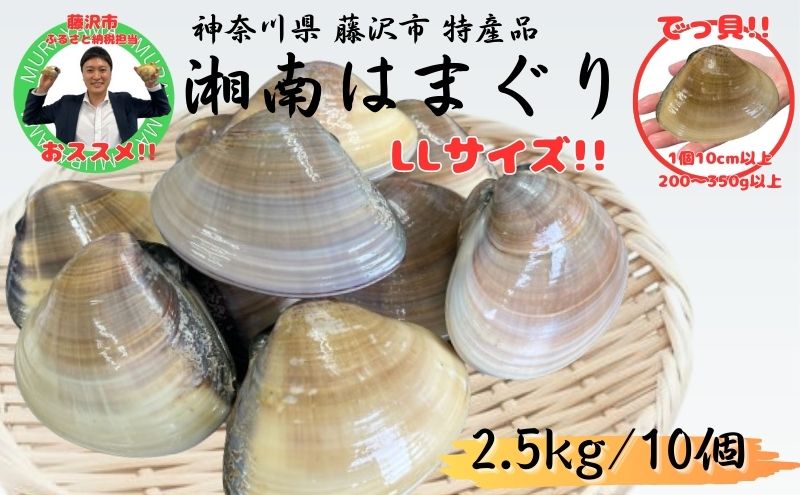 湘南はまぐり LLサイズ 10個 2.5kg 冷凍 焼き蛤 酒蒸し お吸い物　炊き込みご飯 パスタ 江の島 江ノ島