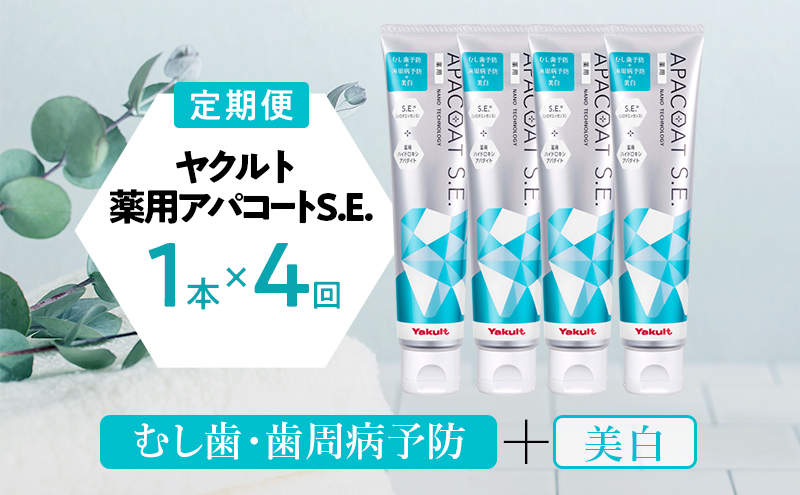 【定期便 4回 隔月】ヤクルト 薬用アパコートS.E.  歯磨き 歯磨き粉 薬用歯磨き粉 アパコート S.E. 予防 口臭 歯肉炎 歯槽膿漏 虫歯 歯 再石灰化 デンタルケア 歯みがき はみがき