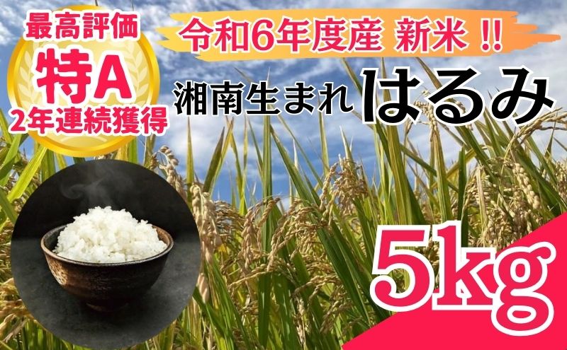 米 2年連続特Aランク 米 湘南生まれ 【 はるみ 】 5kg 令和6年度産新米 10月以降順次発送 お米 白米 新米 精米 はるみ ブランド米 特A 神奈川 藤沢 A1