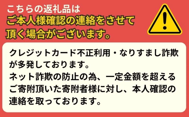 サーフィン サーフボード PYZEL SURFBOARDS HIGHLINE ROUND TAIL FUTURE パイゼル マリンスポーツ 海 アクティビティー スポーツ ショートボード 藤沢市 江の島 江ノ島