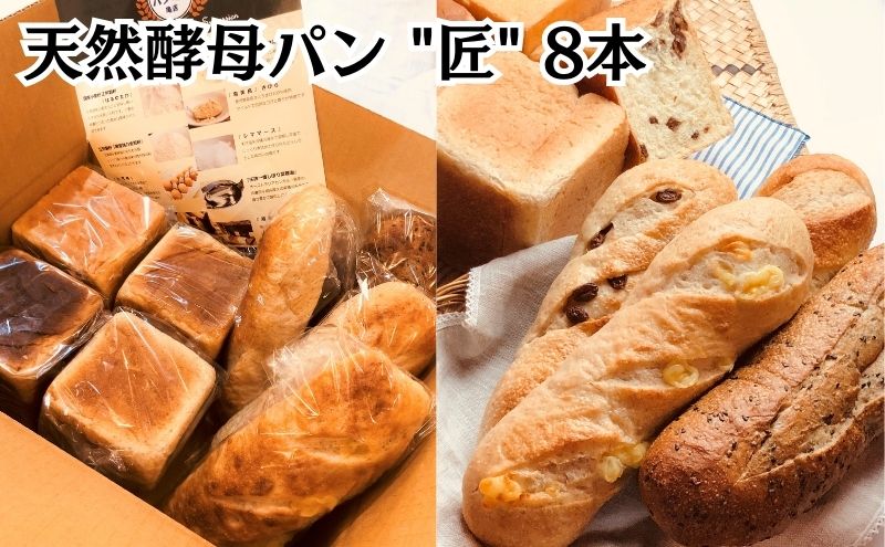 パン 食パン 【3ヵ月定期便】 天然酵母パン 