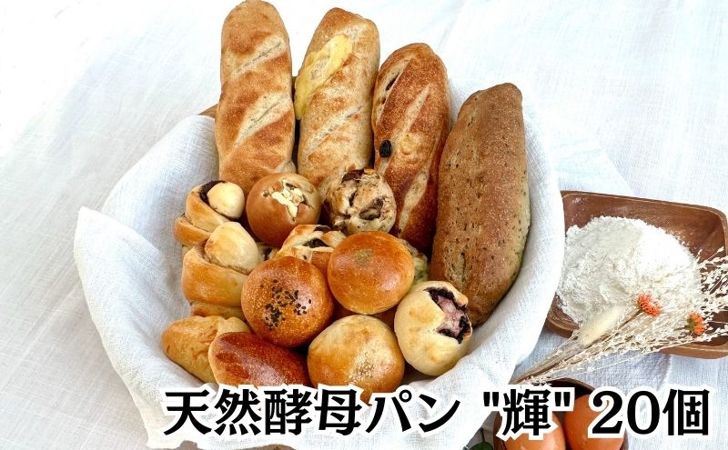 パン 食パン 【3ヵ月定期便】 天然酵母パン 