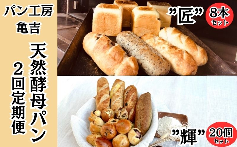 パン 食パン 【2ヵ月定期便】 天然酵母パン "匠" 8本 ”輝”20個 亀吉パン遊房 生食パン 国産小麦 天然酵母 レーズン 黒糖 詰め合わせ セット 神奈川 藤沢