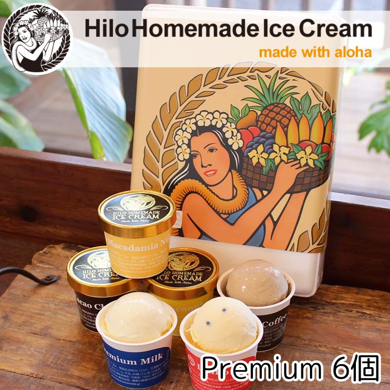 アイス Hilo Homemade Ice Cream プレミアムアイスクリーム 6個 セット ヒロホームメイドアイス スイーツ おやつ デザート 手作り ギフト 贈答 お取り寄せ 冷凍 神奈川 藤沢