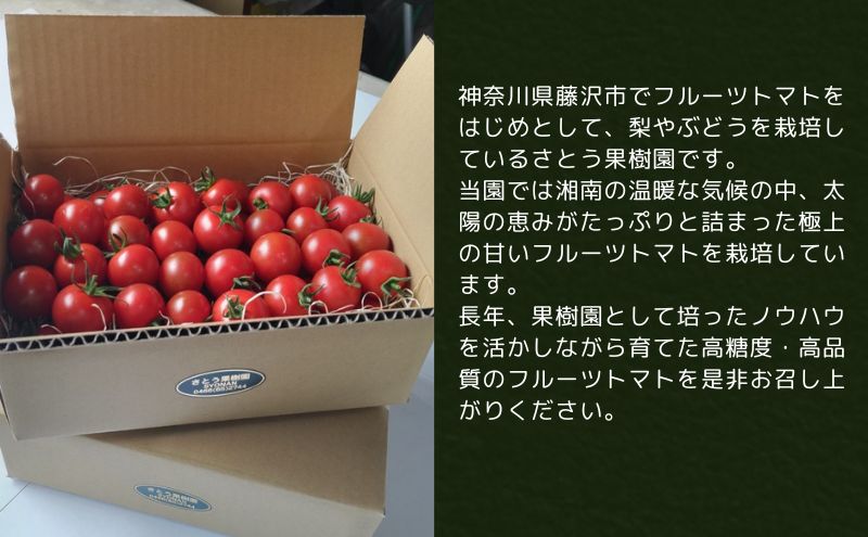 トマト フルーツトマト 1.2kg～1.8kg 1箱 フルティカ 藤沢市 野菜 とまと ミニトマト ハウス栽培 A1