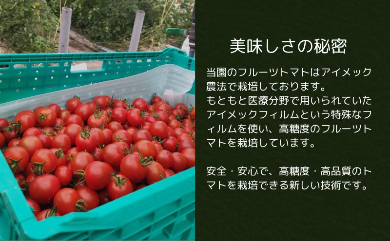 トマト フルーツトマト 1.2kg～1.8kg 1箱 フルティカ 藤沢市 野菜 とまと ミニトマト ハウス栽培 A1