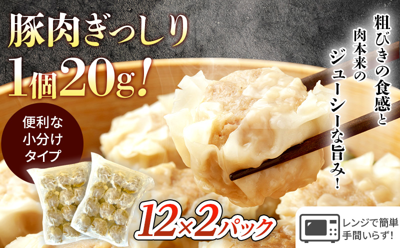 餃子 湘南 ぎょうざ 100個 + しゅうまい 24個 大容量 セット 生餃子 ルイビ豚 冷凍餃子 ブランド豚 ギョーザ シューマイ おかず 総菜 おつまみ つまみ お弁当 ごはんのお供 中華 冷凍 神奈川 藤沢 A1