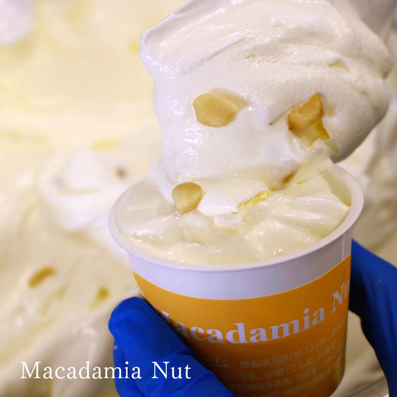 アイス Hilo Homemade Ice Cream プレミアムアイスクリーム 6個 セット スイーツ おやつ デザート 手作り ギフト 贈答 お取り寄せ 冷凍 神奈川 藤沢