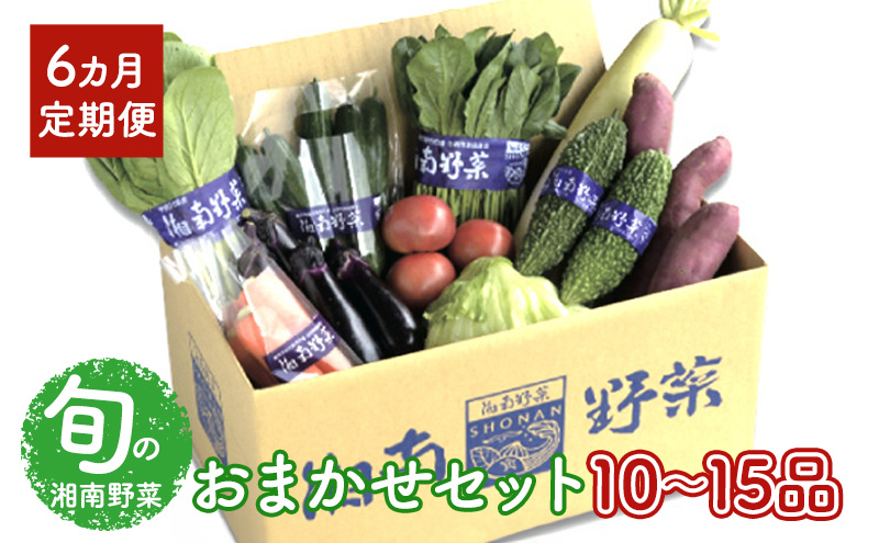 野菜 【6カ月定期便】野菜セット 旬の湘南野菜おまかせセット 12月発送開始  湘南野菜 旬の野菜 ブランド野菜 生野菜 やさい 鮮度 セット 定期便 おまかせ 藤沢市