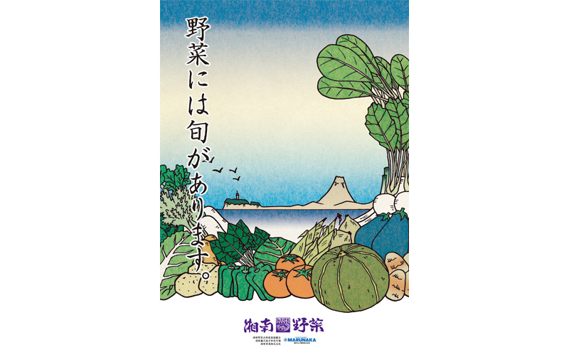 野菜 【6カ月定期便】野菜セット 旬の湘南野菜おまかせセット 12月発送開始  湘南野菜 旬の野菜 ブランド野菜 生野菜 やさい 鮮度 セット 定期便 おまかせ 藤沢市