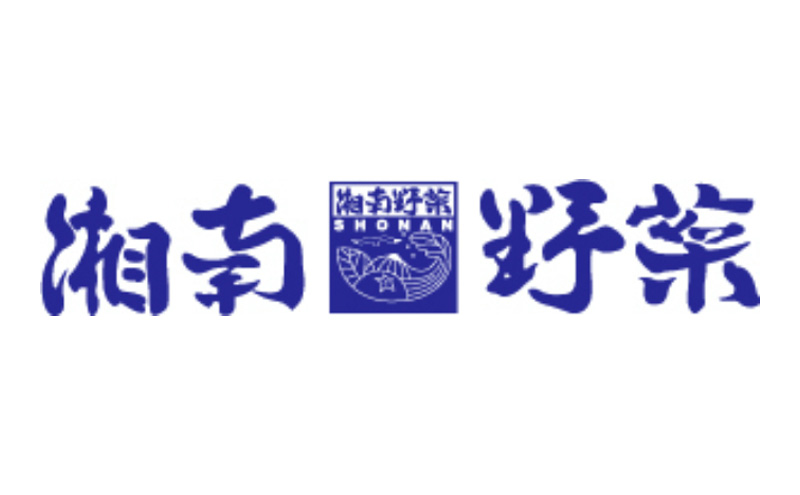 野菜 【6カ月定期便】野菜セット 旬の湘南野菜おまかせセット 12月発送開始  湘南野菜 旬の野菜 ブランド野菜 生野菜 やさい 鮮度 セット 定期便 おまかせ 藤沢市