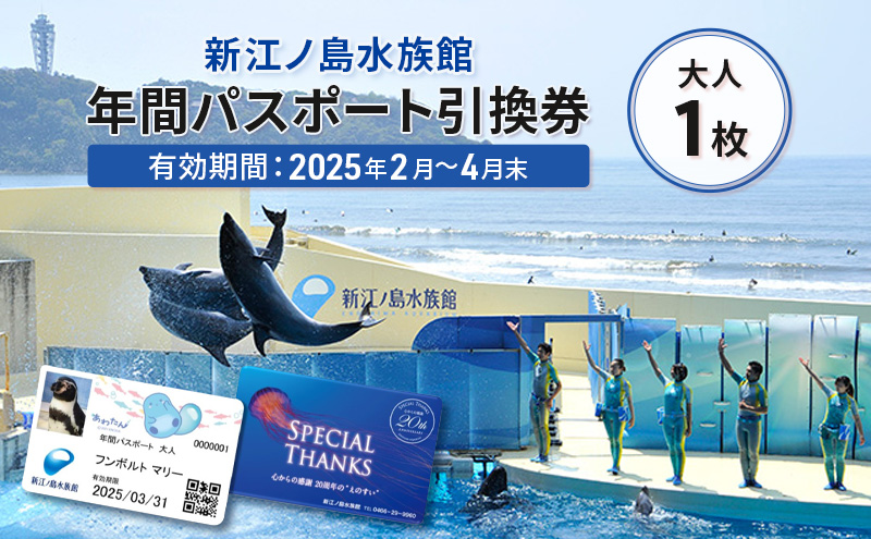 チケット 神奈川 【新江ノ島水族館】年間パスポート引換券(大人1枚) 有効期間2025年2月～4月末まで 水族館 パスポート 入場券 江ノ島 藤沢市 神奈川県 プレゼント ギフト