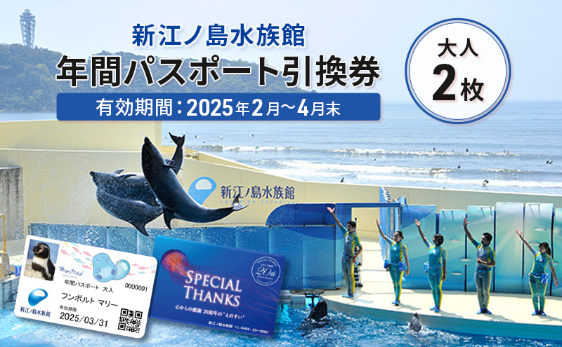 チケット 神奈川 【新江ノ島水族館】年間パスポート引換券(大人2枚) 有効期間2025年2月～4月末まで 水族館 パスポート 入場券 江ノ島 藤沢市 神奈川県 プレゼント ギフト