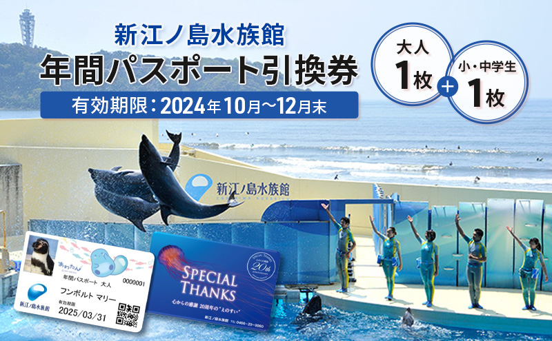 チケット 神奈川 【新江ノ島水族館】年間パスポート引換券(大人1枚+小・中学生1枚) 有効期間2024年10月～12月末まで 水族館 パスポート 入場券 江ノ島 藤沢市 神奈川県 プレゼント ギフト