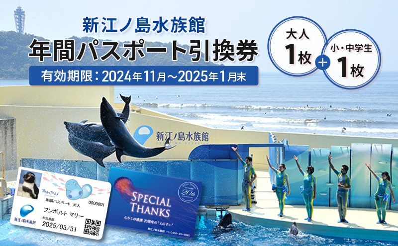 チケット 神奈川 【新江ノ島水族館】年間パスポート引換券(大人1枚+小・中学生1枚) 有効期間2024年11月～2025年1月末まで 水族館 パスポート 入場券 江ノ島 藤沢市 神奈川県 プレゼント ギフト