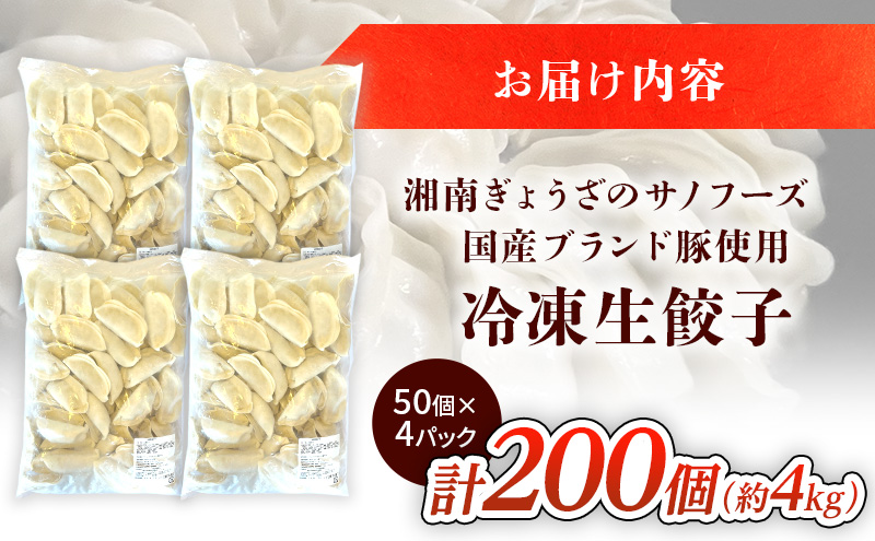 餃子 湘南 生 ぎょうざ 20g×200個 大容量 セット 生餃子 ルイビ豚 冷凍餃子 ブランド豚 ギョーザ おかず 総菜 おつまみ つまみ ごはんのお供 中華 お取り寄せ 焼き餃子 冷凍 神奈川県 神奈川 藤沢 定期便 A1