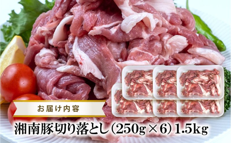 湘南豚　切り落し　1.5kg【神奈川県産豚】 豚肉 切り落とし 国産 肉 ポーク 小分け 250g 冷凍  生姜焼き 野菜炒め 豚汁 豚丼 人気 おすすめ 藤沢市